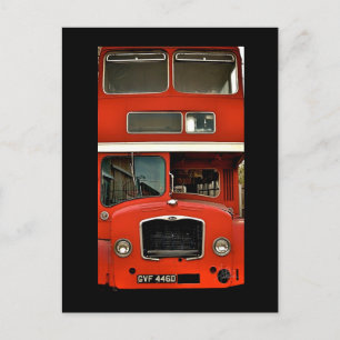Portrait of a Double Decker [Postcard] Postcard