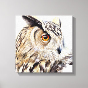 Portrait of a eagle owl boxed canvas print