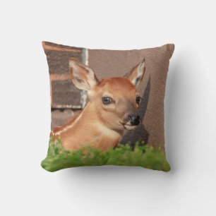 Portrait of a Fawn (white-tailed deer) Cushion