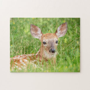 Portrait of a Fawn (white-tailed deer) Jigsaw Puzzle