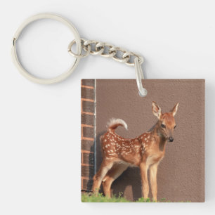 Portrait of a Fawn (white-tailed deer) Key Ring