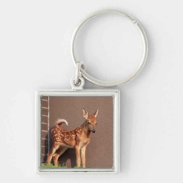 Portrait of a Fawn (white-tailed deer) Key Ring (Front)