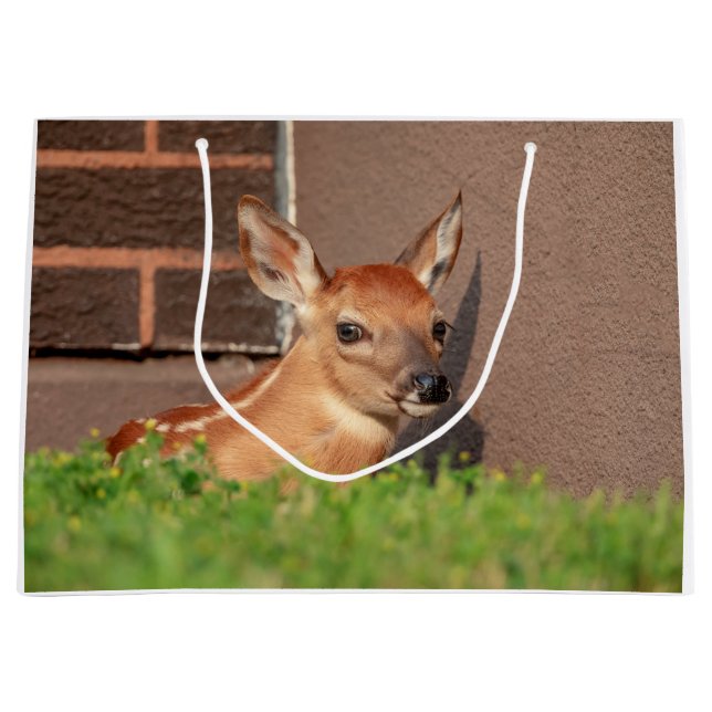 Portrait of a Fawn (white-tailed deer) Large Gift Bag (Front)