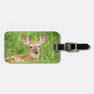 Portrait of a Fawn (white-tailed deer) Luggage Tag
