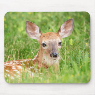 Portrait of a Fawn (white-tailed deer) Mouse Mat