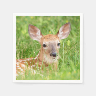Portrait of a Fawn (white-tailed deer) Napkin