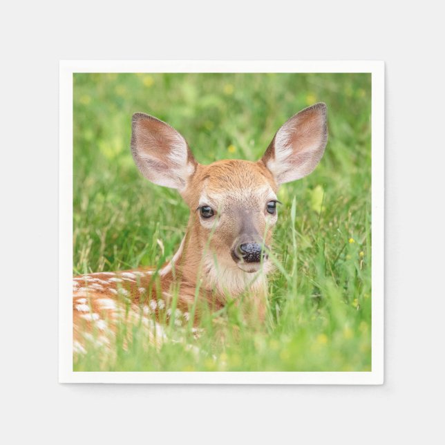Portrait of a Fawn (white-tailed deer) Napkin (Front)