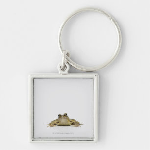 Portrait of a frog in a white studio key ring