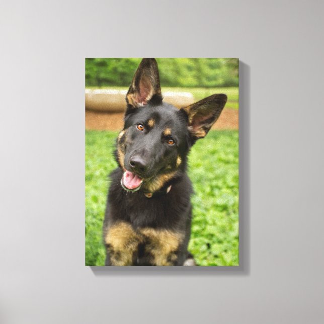 Portrait of a German Shepherd Canvas Print (Front)