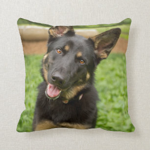 Portrait of a German Shepherd Cushion