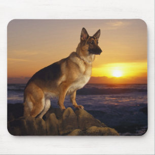 Portrait of a German Shepherd dog or Alsatian Mouse Mat
