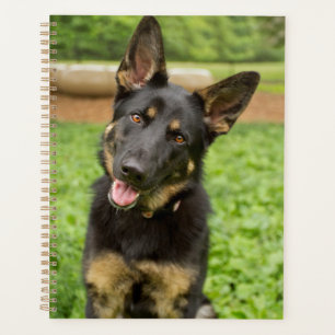 Portrait of a German Shepherd Planner