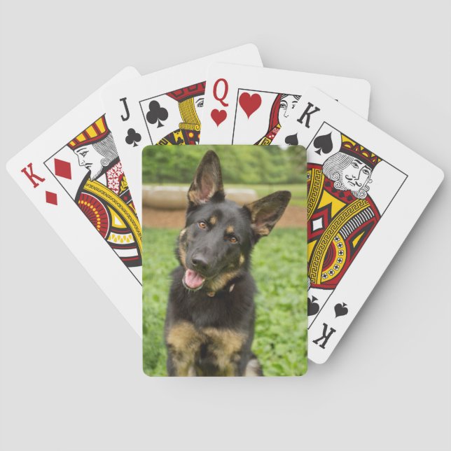 Portrait of a German Shepherd Playing Cards (Back)