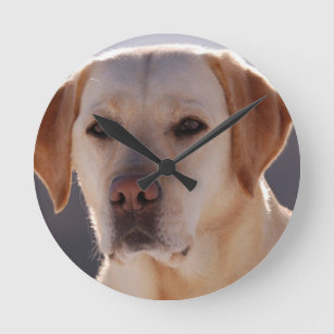 Portrait of A Golden Labrador Retriever Round Clock