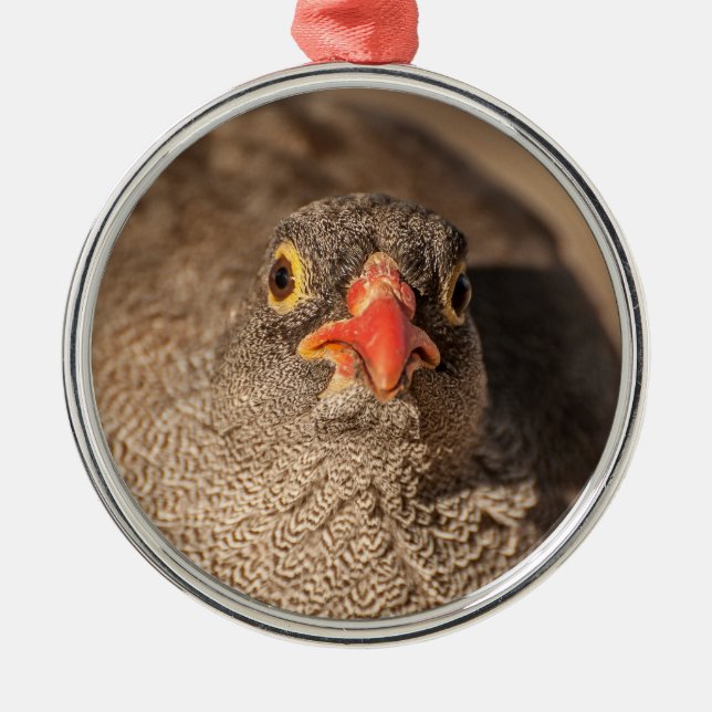 Portrait of a Grouse Metal Tree Decoration (Front)
