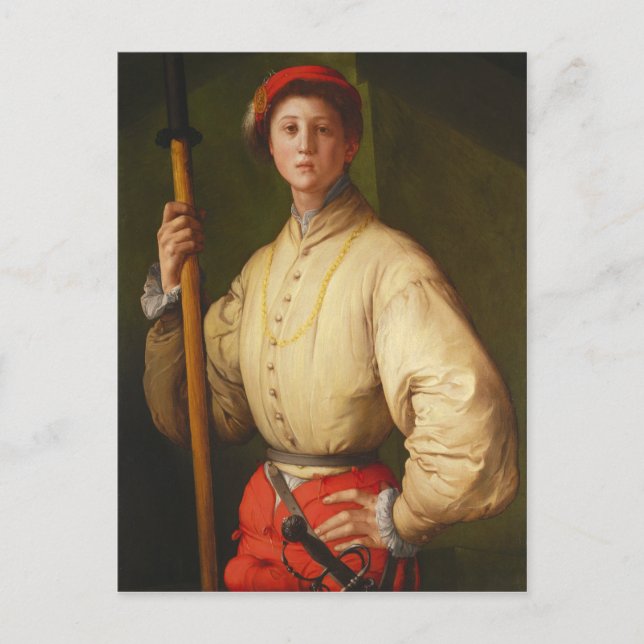 Portrait of a Halberdier by Pontormo Postcard (Front)