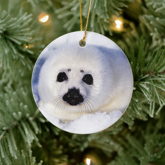 Portrait of a Harp Seal Pup Ceramic Tree Decoration (Tree)