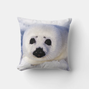 Portrait of a Harp Seal Pup Cushion