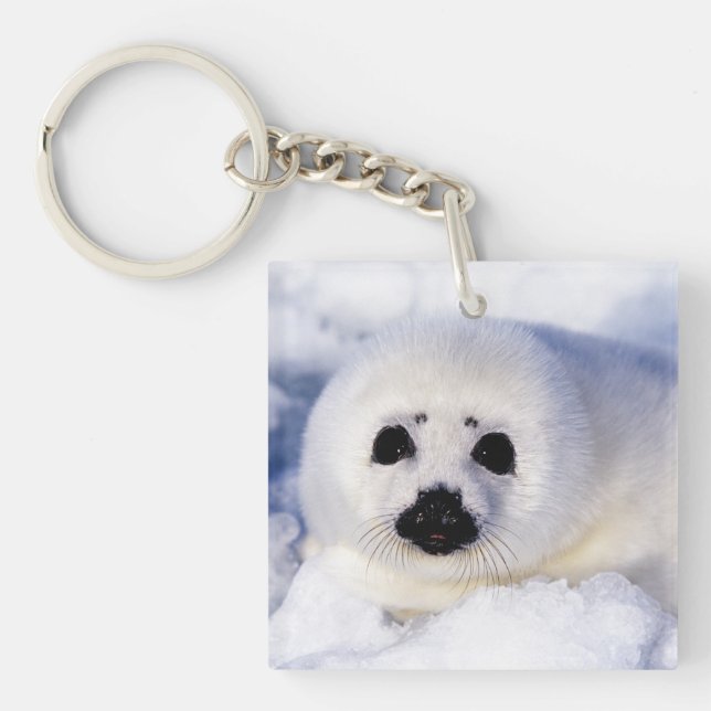 Portrait of a Harp Seal Pup Key Ring (Front)