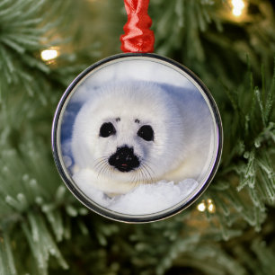 Portrait of a Harp Seal Pup Metal Tree Decoration