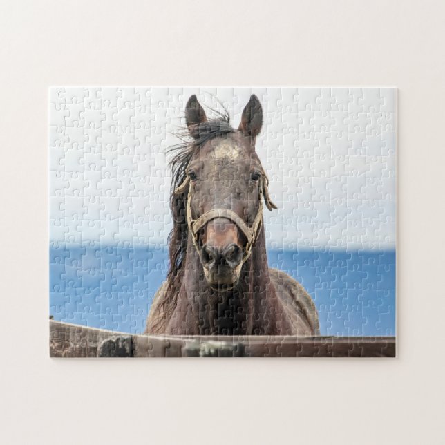 Portrait of a horse jigsaw puzzle (Horizontal)