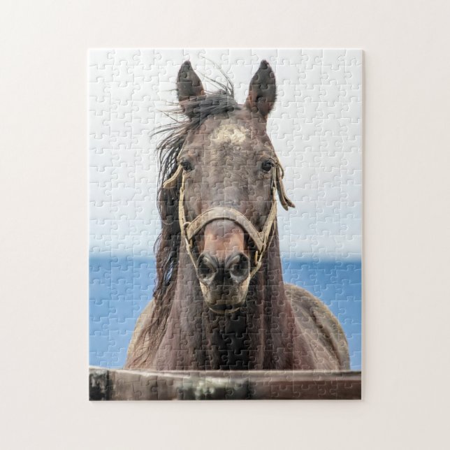 Portrait of a horse jigsaw puzzle (Vertical)