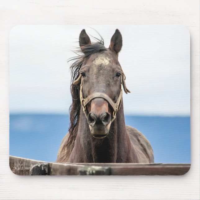 Portrait of a horse mouse mat (Front)