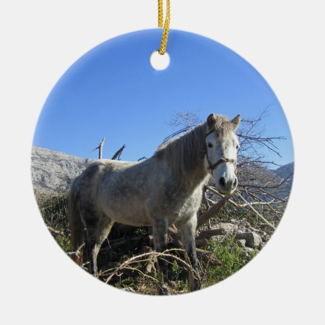 Portrait of a Horse Ornament (Front)