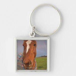 Portrait Of A Horse With A Rainbow In The Sky Key Ring
