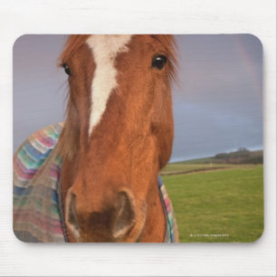 Portrait Of A Horse With A Rainbow In The Sky Mouse Mat