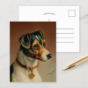 Portrait of a Jack Russel Terrier   Carl Reichert Postcard