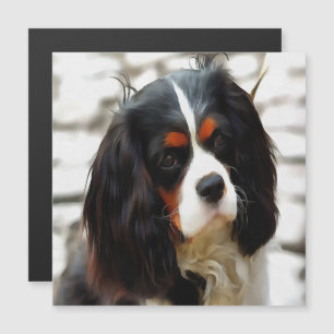 Portrait Of A King Charles Cavalier Spaniel