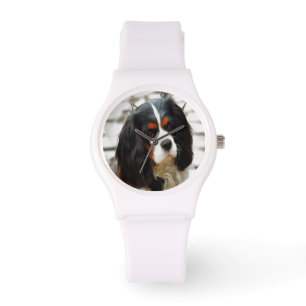 Portrait Of A King Charles Cavalier Spaniel Watch