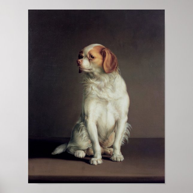 Portrait of a King Charles Spaniel Poster (Front)