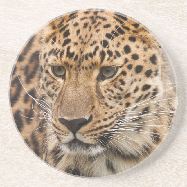 Portrait of a Leopard Coaster (Front)