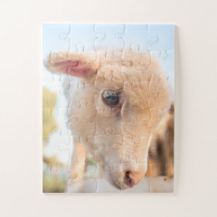 Portrait of a little lamb jigsaw puzzle