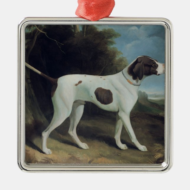 Portrait of a liver and white pointer metal tree decoration (Front)