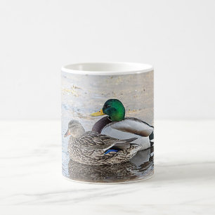 Portrait of a male and female mallard coffee mug