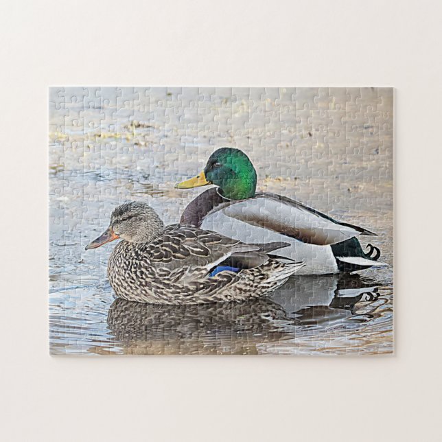 Portrait of a male and female mallard jigsaw puzzle (Horizontal)