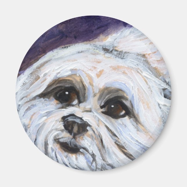 Portrait of a maltese magnet (Front)