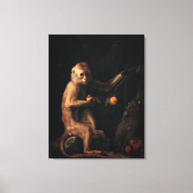 Portrait of a Monkey Canvas Print (Front)