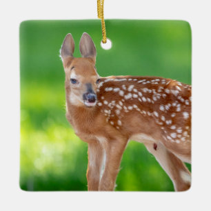 Portrait of a Newborn Fawn (white-tailed deer) Ceramic Ornament