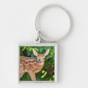 Portrait of a Newborn Fawn (white-tailed deer) Key Ring