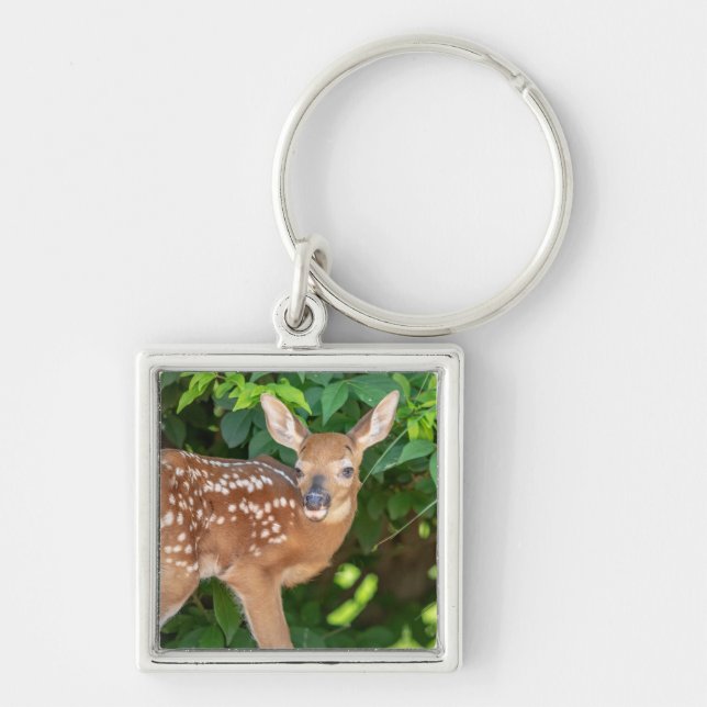Portrait of a Newborn Fawn (white-tailed deer) Key Ring (Front)