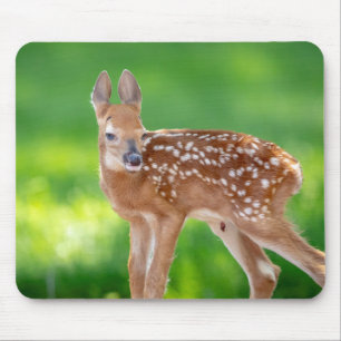 Portrait of a Newborn Fawn (white-tailed deer) Mouse Mat