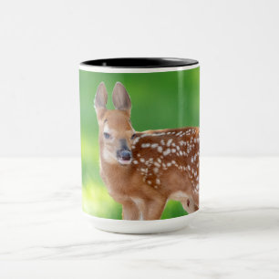 Portrait of a Newborn Fawn (white-tailed deer) Mug