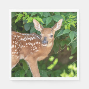 Portrait of a Newborn Fawn (white-tailed deer) Napkin