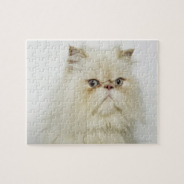 Portrait of a Persian cat Jigsaw Puzzle (Horizontal)