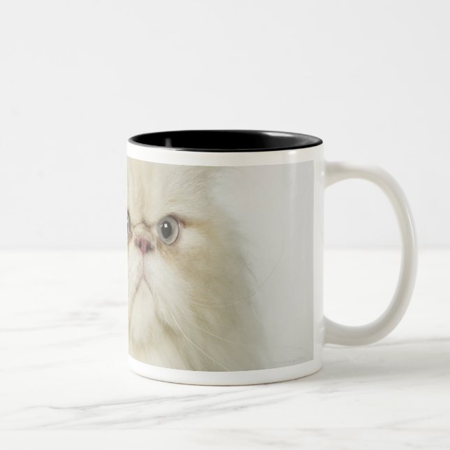 Portrait of a Persian cat Two-Tone Coffee Mug (Right)
