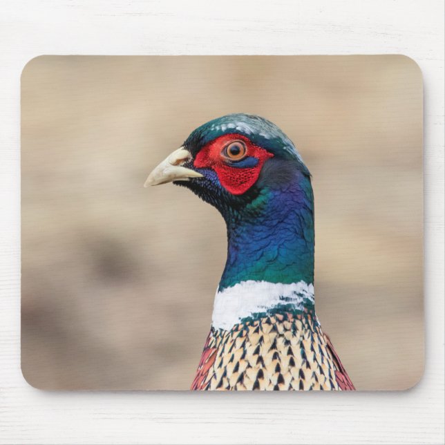 Portrait of a pheasant mouse mat (Front)